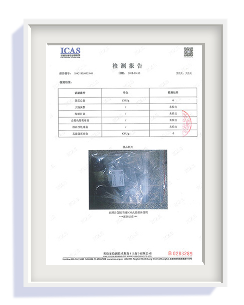 ICAS Test Report