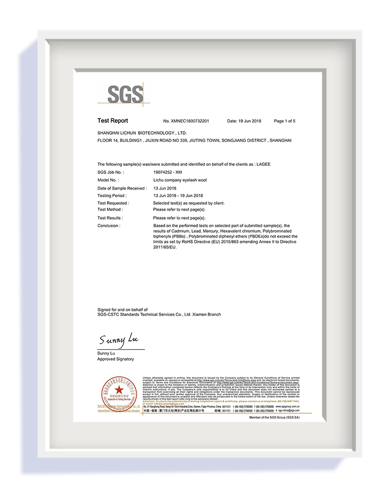 SGS Test Report