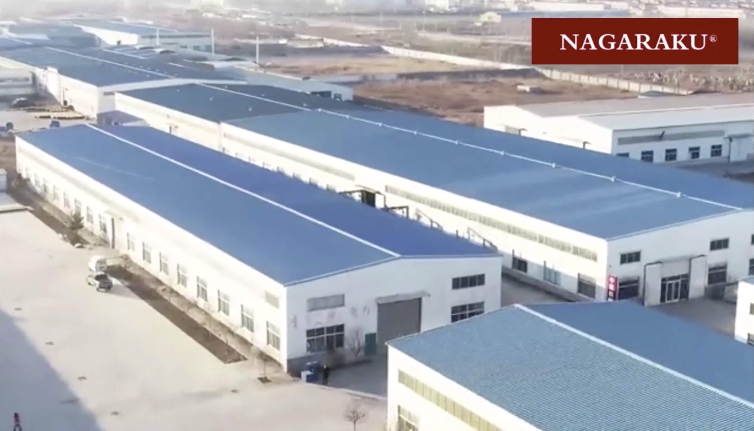 Company overview